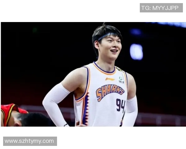 王哲林：从篮球新星到国家队核心的成长之路与未来展望