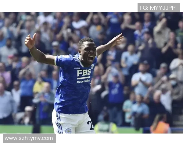 赫尔城与莱斯特城精彩对决直播全程回顾与分析