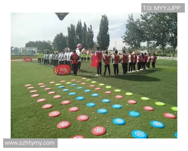 飞盘运动新风潮北京飞盘队引领意识革命排名前十MBA